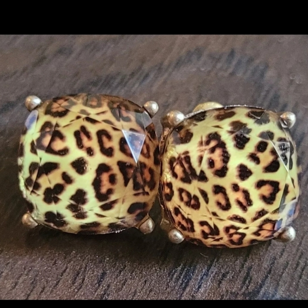 Leopard Print Large Statement Stud Earrings